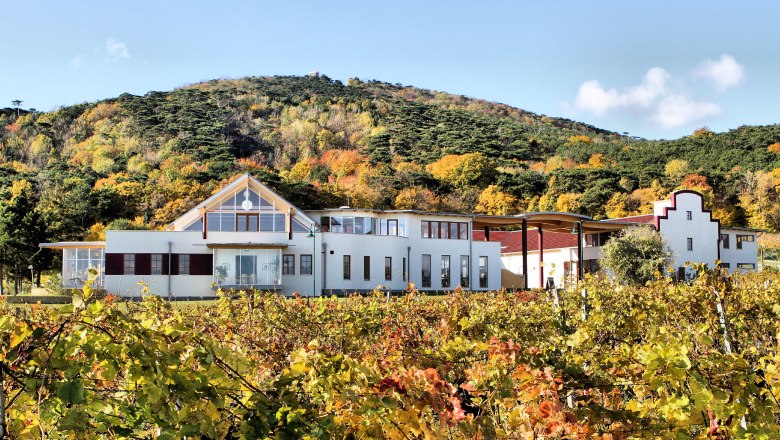 Herbstzeit am Weingut Schlossberg, © Weingut Schlossberg