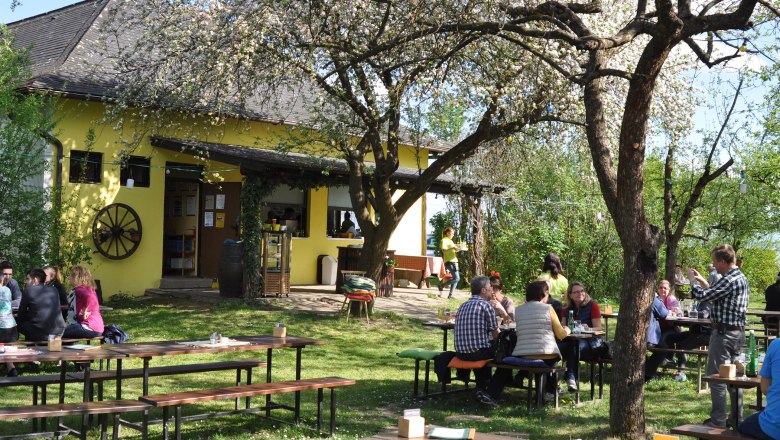 Heurigenbetrieb im Gastgarten, © Mayer-Hörmann